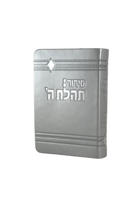 Siddur Annotated English Compact Flexi Leather-like Silver